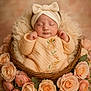 baby, sleeping, headband, bow, basket, flowers, roses, peach, pink, blanket, cute, infant, portrait, floral_arrangement, soft_light, cozy, newborn, decor, peaceful, wrapped