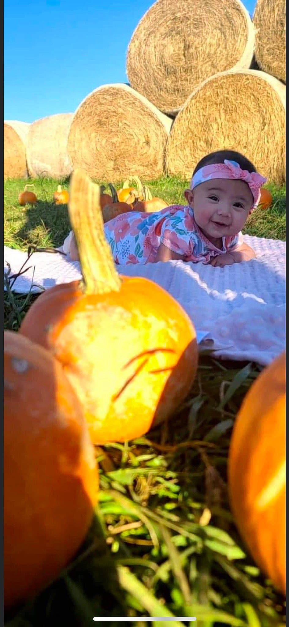 Lena joined the competition — help win amazing prizes! calabaza, cucurbita, fruit, gourd, grass, happy, hat, headwear, local_food, natural_foods, people_in_nature, person, plant, produce, pumpkin, smile, squash, toddler, tree, vegetable