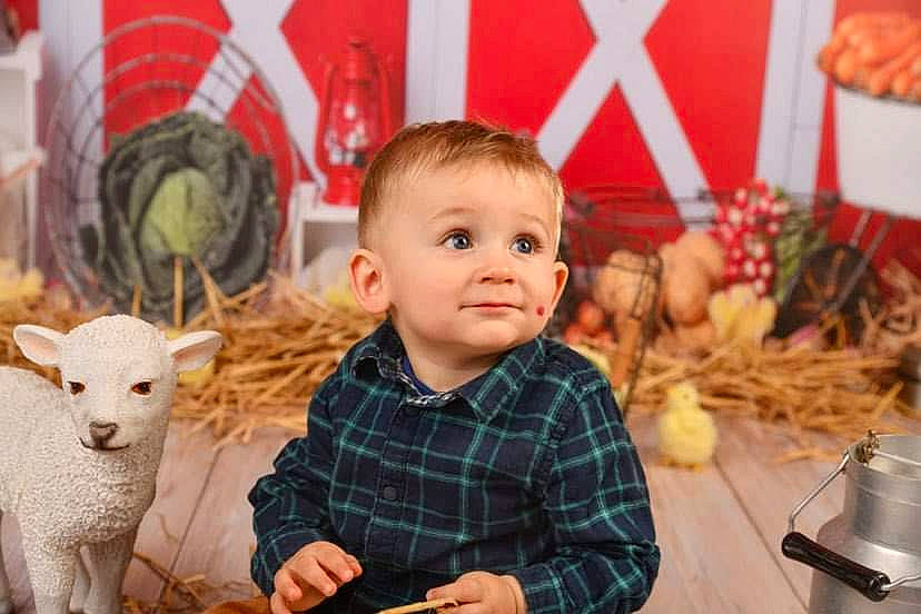 Raphaël participe au concours pour gagner de l'argent avec cette photo : baby, child, christmas, companion_dog, event, eye, fun, fur, happy, holiday, pattern, people, person, room, sheep, sitting, terrestrial_animal, toddler, toy, wool