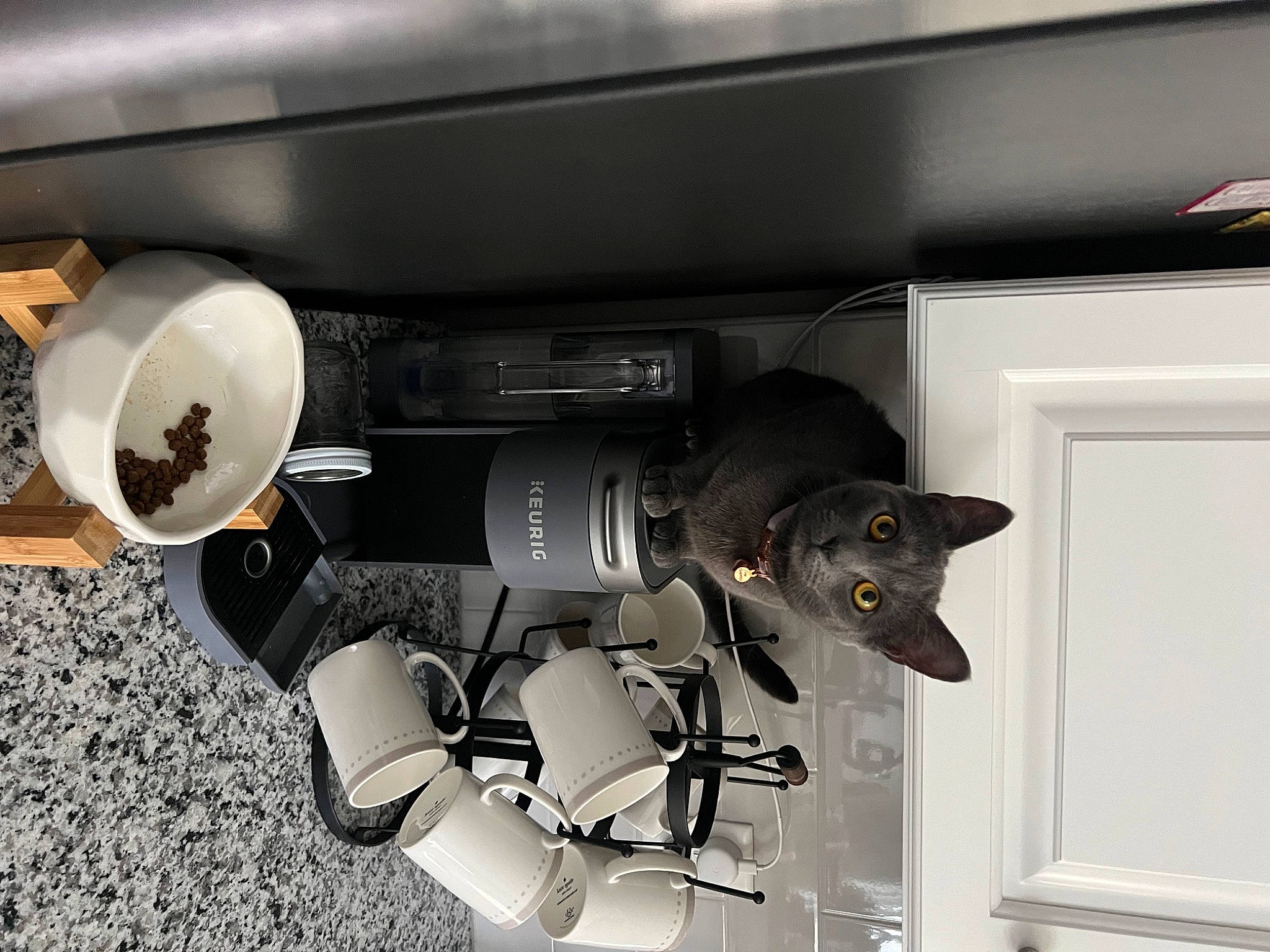 Cleocatra joined the competition — help win amazing prizes! audio_equipment, auto_part, automotive_design, automotive_exterior, automotive_lighting, automotive_tire, automotive_wheel_system, bumper, ceiling, door, machine, metal, motor_vehicle, personal_luxury_car, personal_protective_equipment, room, toy, trunk, vehicle_door