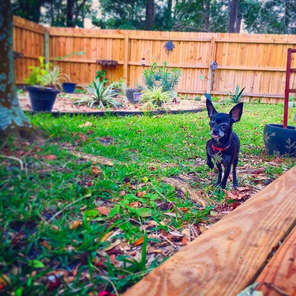 Hedwig joined the competition — help win amazing prizes!