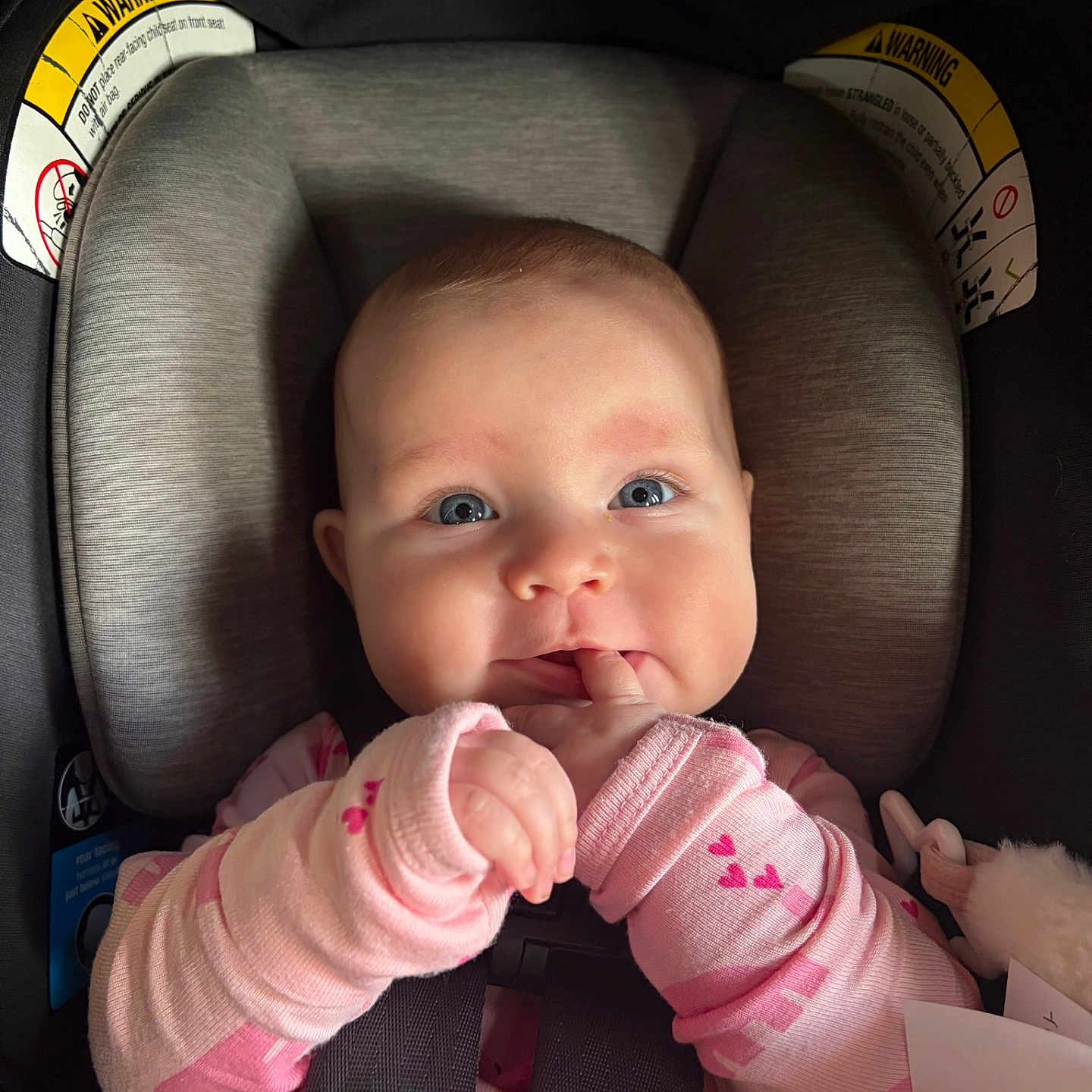 Adalee is registered to the contest to win money with this photo: baby, child, car_seat, pink_clothing, hands, fingers, blue_eyes, face, infant, cute, rosy_cheeks, sitting, seatbelt, soft_lighting, indoor, closeup, portrait, playful, cozy, smiling