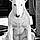 Nanuq