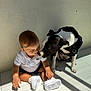 Afonso Rafael a rejoint le concours — aidez-le/la à gagner de superbes lots ! toddler, dog, white_polo, white_sneakers, black_and_white_dog, tile_floor, sunlight, shadow, wall, cute, pet, child, interaction, indoors, floor, sitting, playful, affection, animal, young_child