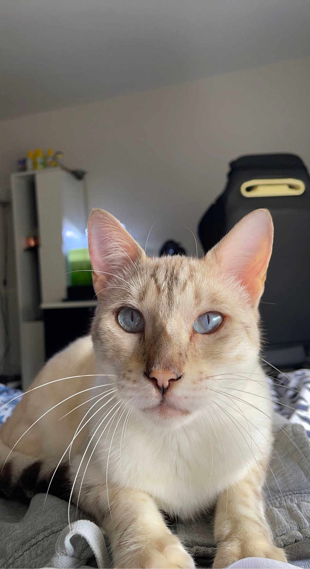 Ragnar