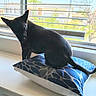 animal, black_cat, cat, cushion, daylight, furniture, home, indoors, long_tail, patterned_fabric, pet, pillow, pointed_ears, portrait, relaxed, short_hair, silhouette, sitting, sunlight, window