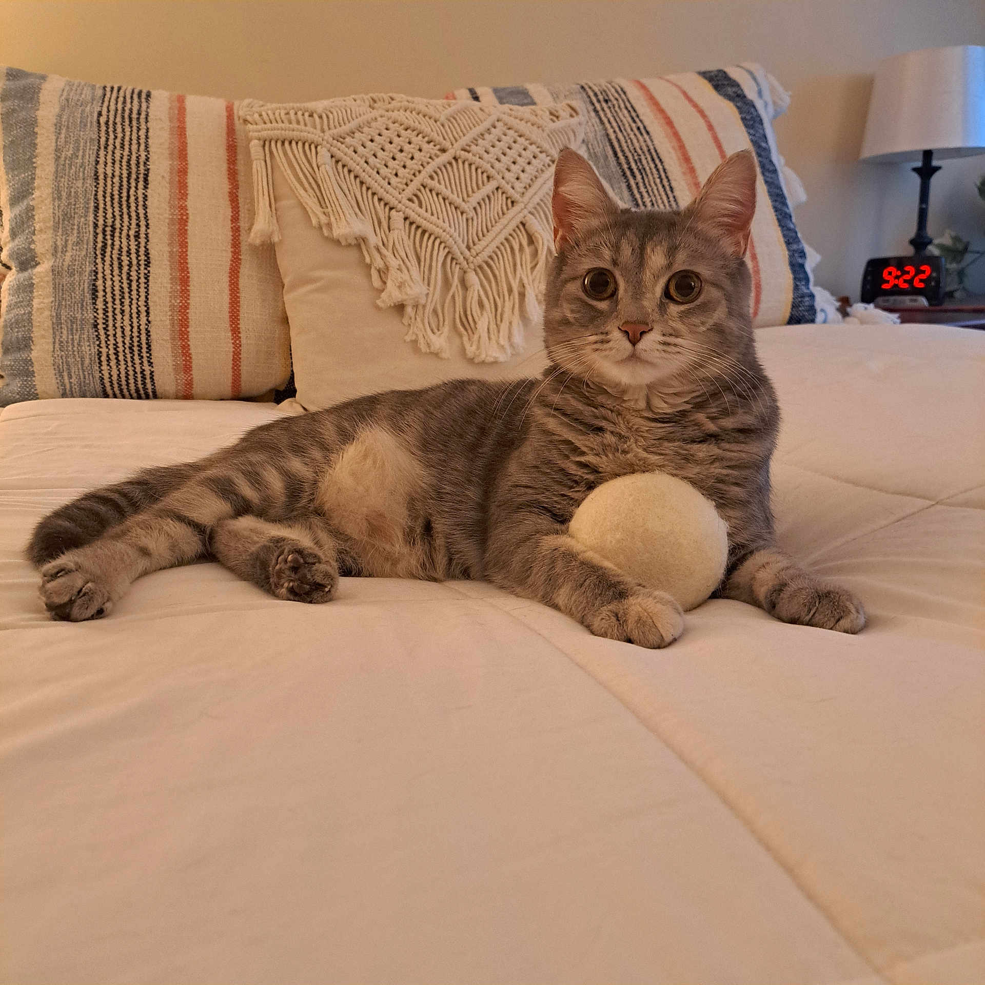Tiger Lily is registered to the contest to win money with this photo: cat, tabby_cat, toy_ball, bed, pillow, macrame, striped_pillow, lamp, digital_clock, bedroom, feline, pet, cozy, indoors, relaxed, lying_down, whiskers, ears, fur, playful
