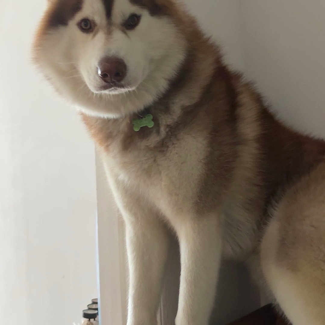 Valto