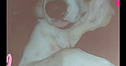 Tyson participe au concours pour gagner de l'argent avec cette photo : animal, blurred, canine, crossed_legs, cute, digital_overlay, dog, furry, hearts, indoors, lying_down, mobile_screen, muzzle, pet, pink, portrait, red, resting, screenshot, social_media