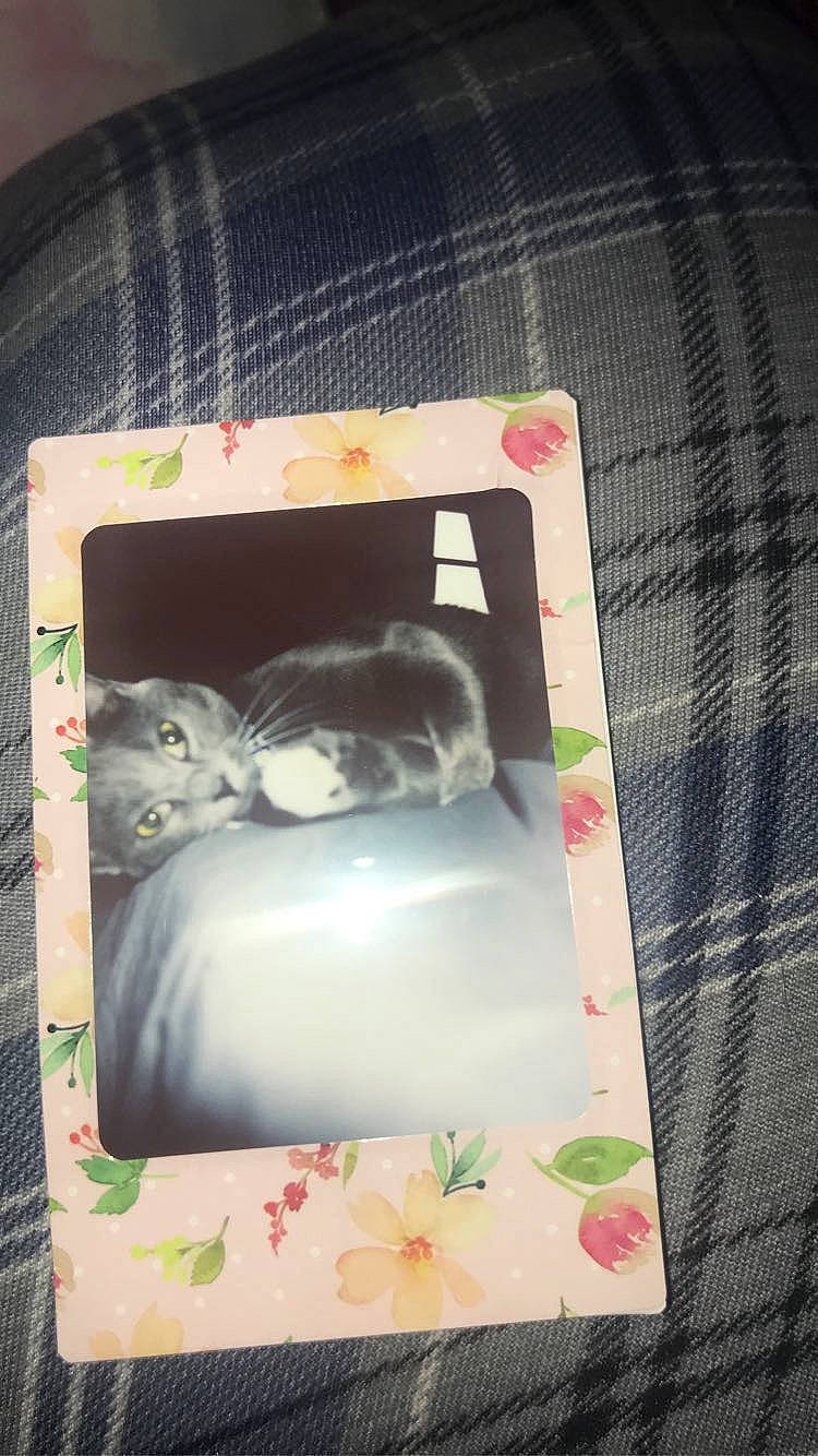 Beans is registered to the contest to win money with this photo: art, box, comfort_food, craft, creative_arts, linens, magenta, packing_materials, paper, paper_product, pattern, plaid, rectangle, room, sweetness, tartan, visual_arts