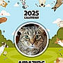 Banditt is registered to the contest to win money with this photo: abyssinian, advertisement, animal, bear, canine, cat, disk, doctor, dog, dvd, file, head, kitten, page, person, pet, pig, poster, text, webpage