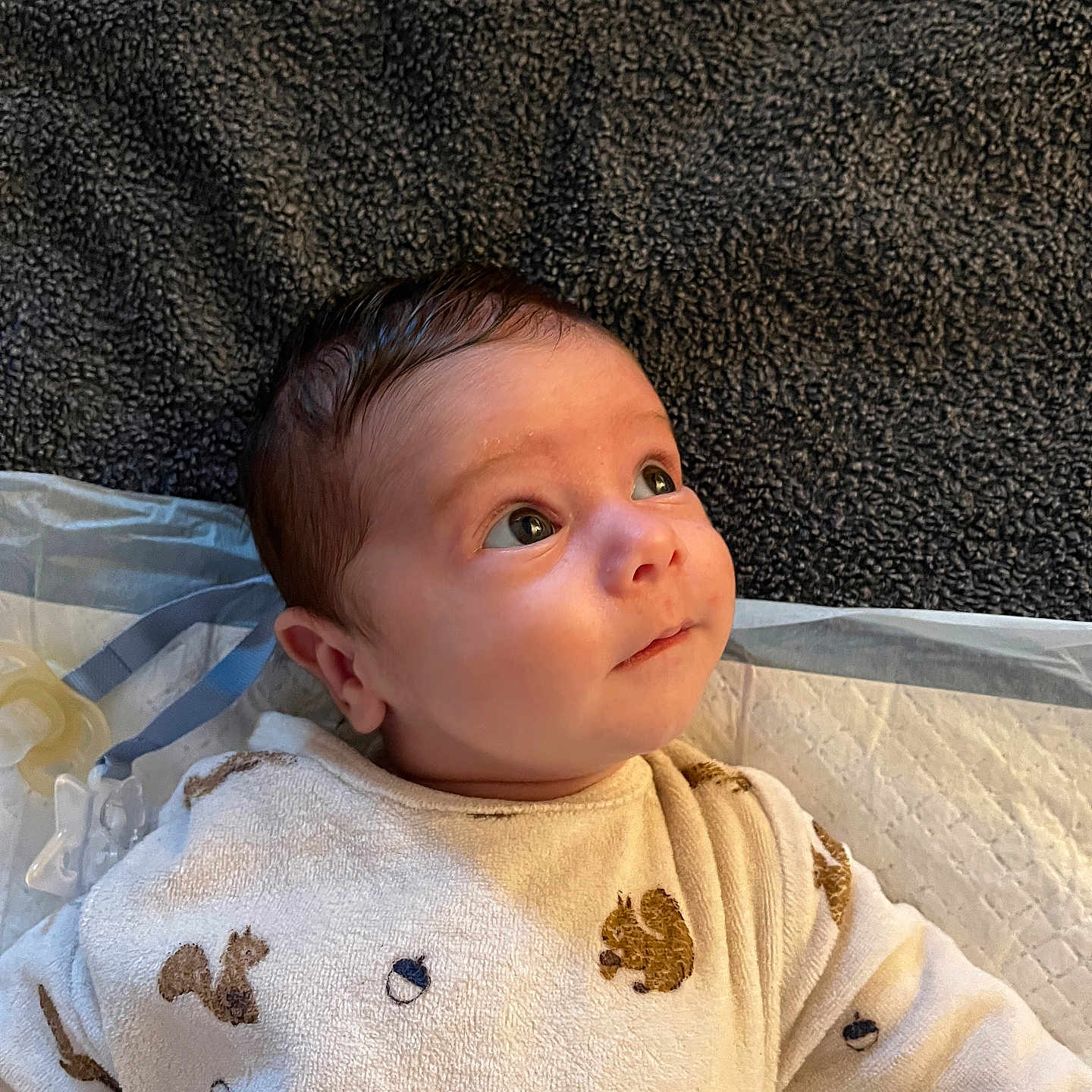 Mayson a rejoint le concours — aidez-le/la à gagner de superbes lots ! acorn_pattern, baby, blanket, child, clothing, cozy, cute, expression, eyes, face, head, indoor, infant, lying_down, portrait, skin, soft_lighting, squirrel_pattern, towel, young