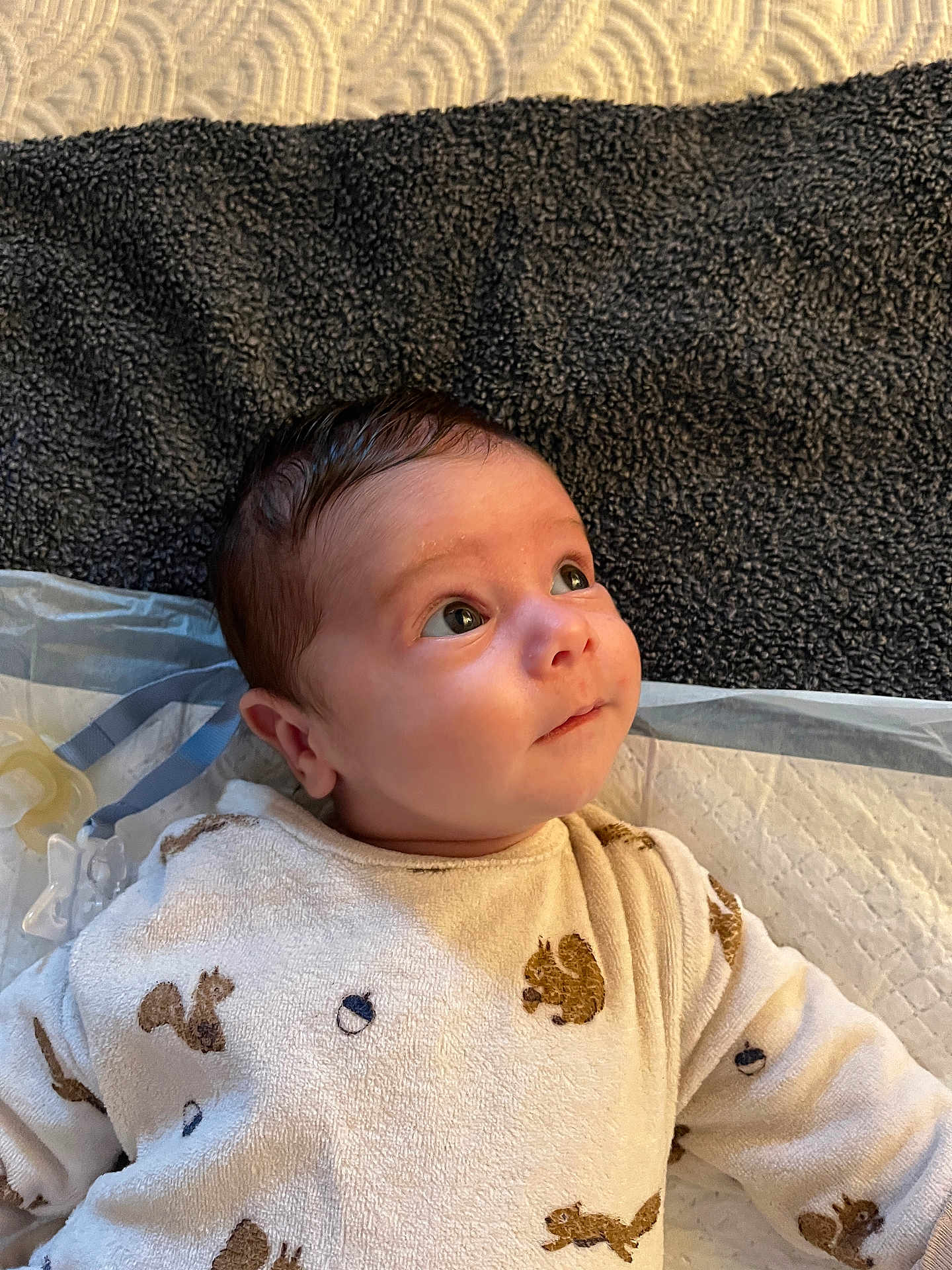 Mayson a rejoint le concours — aidez-le/la à gagner de superbes lots ! baby, infant, child, face, eyes, clothing, squirrel_pattern, acorn_pattern, lying_down, blanket, towel, cute, indoor, soft_lighting, portrait, expression, head, skin, young, cozy