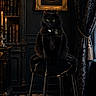 Luna joined the competition — help win amazing prizes! antique_books, black_cat, candlelight, candles, cat, curtains, dark_interior, decor, feline, gold_accents, gothic, indoor, luxury, mysterious, ornate, pet, portrait, regal, stool, velvet