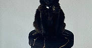 Luna is registered to the contest to win money with this photo: animal, black_cat, calm, cat, collar, domestic_cat, floor, four_legs, fur, furniture, indoor, legs, minimalist, pet, portrait, sitting, stool, tag, wall, yellow_eyes