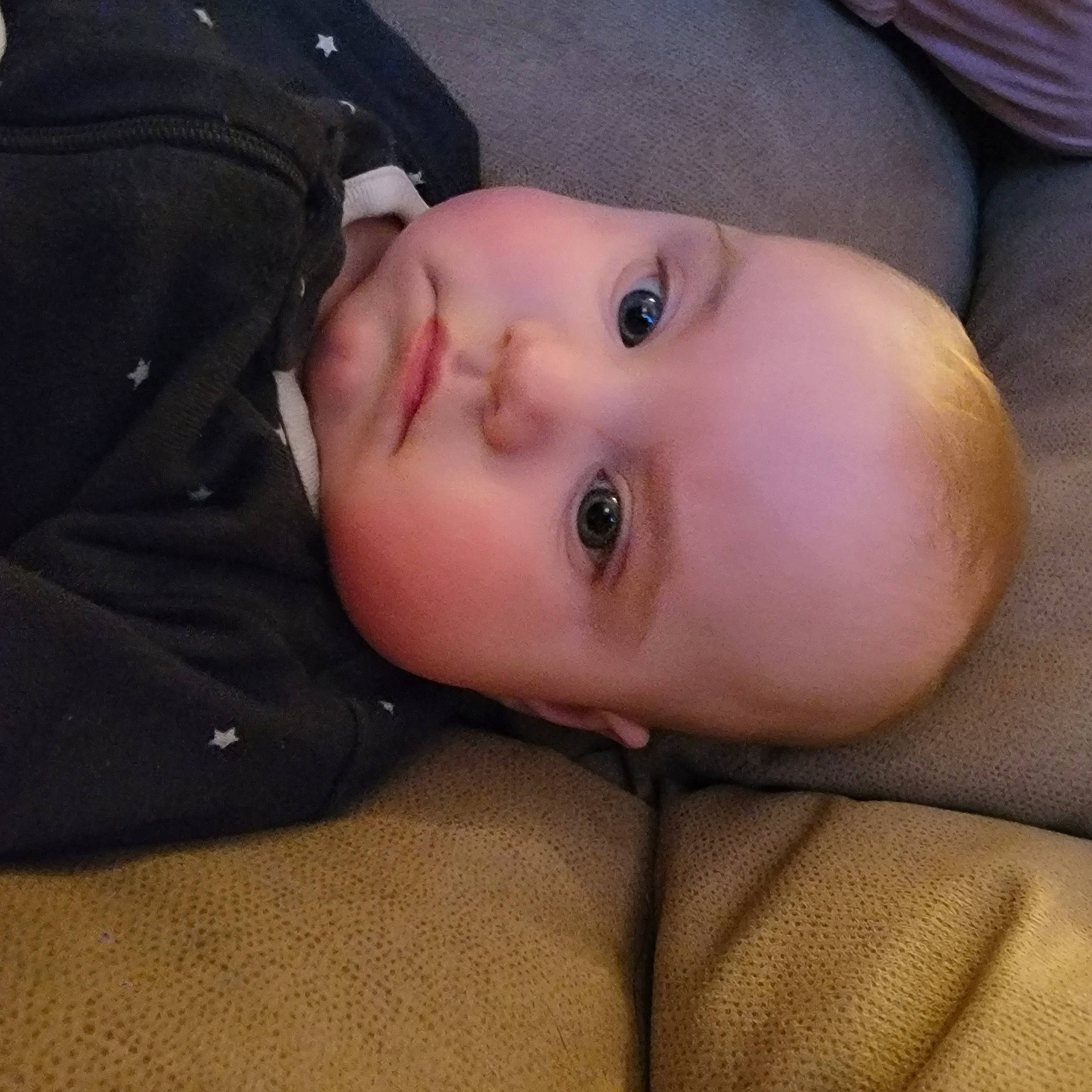 Emmalyn joined the competition — help win amazing prizes! baby, baby_toddler_clothing, cheek, child, comfort, eyebrow, eyelash, flash_photography, fun, fur, grass, iris, lip, nose, person, portrait_photography, sitting, sleeve, toddler, wood