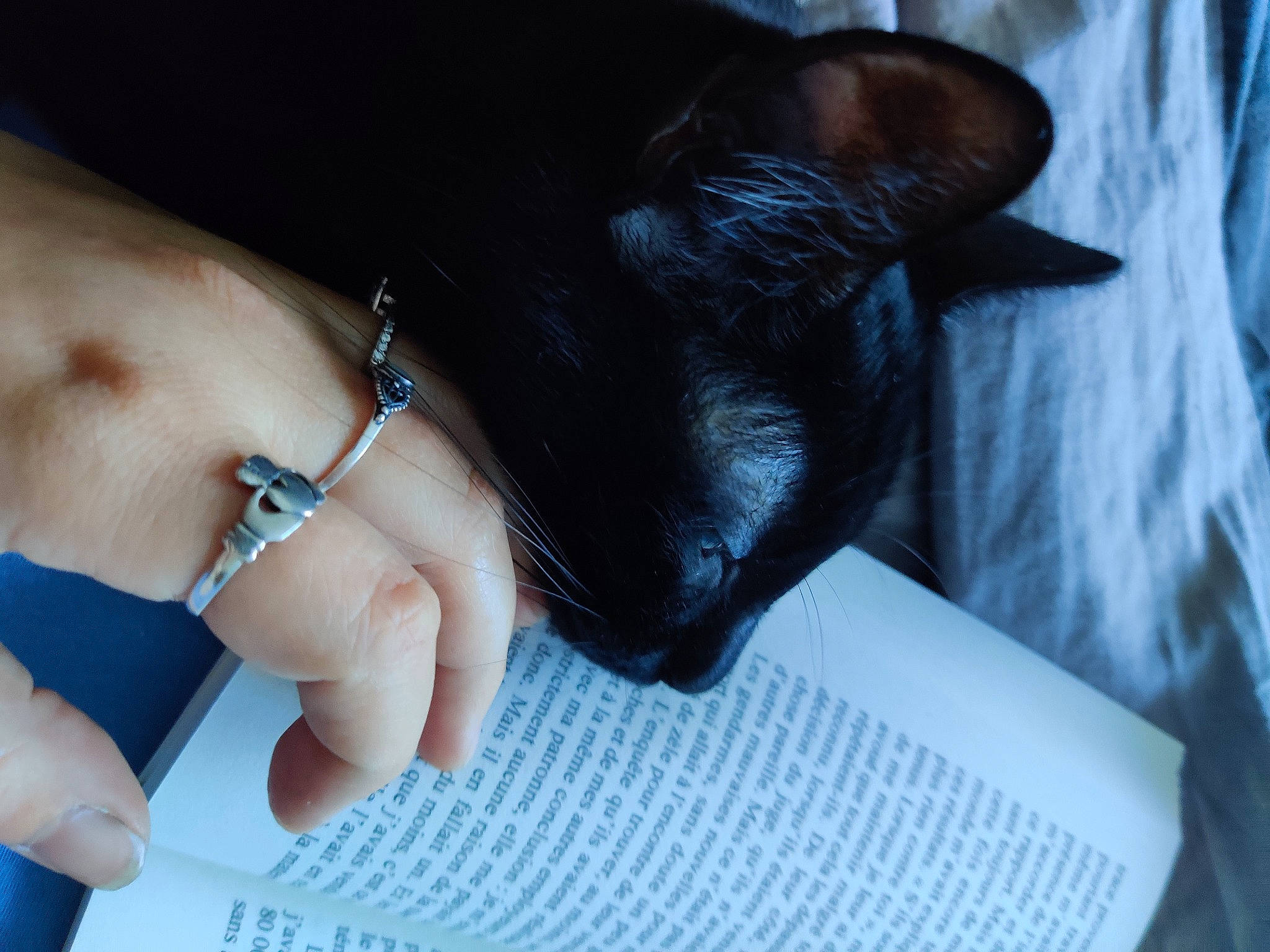 Ghost a rejoint le concours — aidez-le/la à gagner de superbes lots ! black_hair, body_jewelry, carnivore, cat, dress, eyewear, felidae, finger, foot, gesture, hand, human_leg, nail, small_to_medium_sized_cats, snout, sunglasses, thigh, thumb, whiskers, wrist