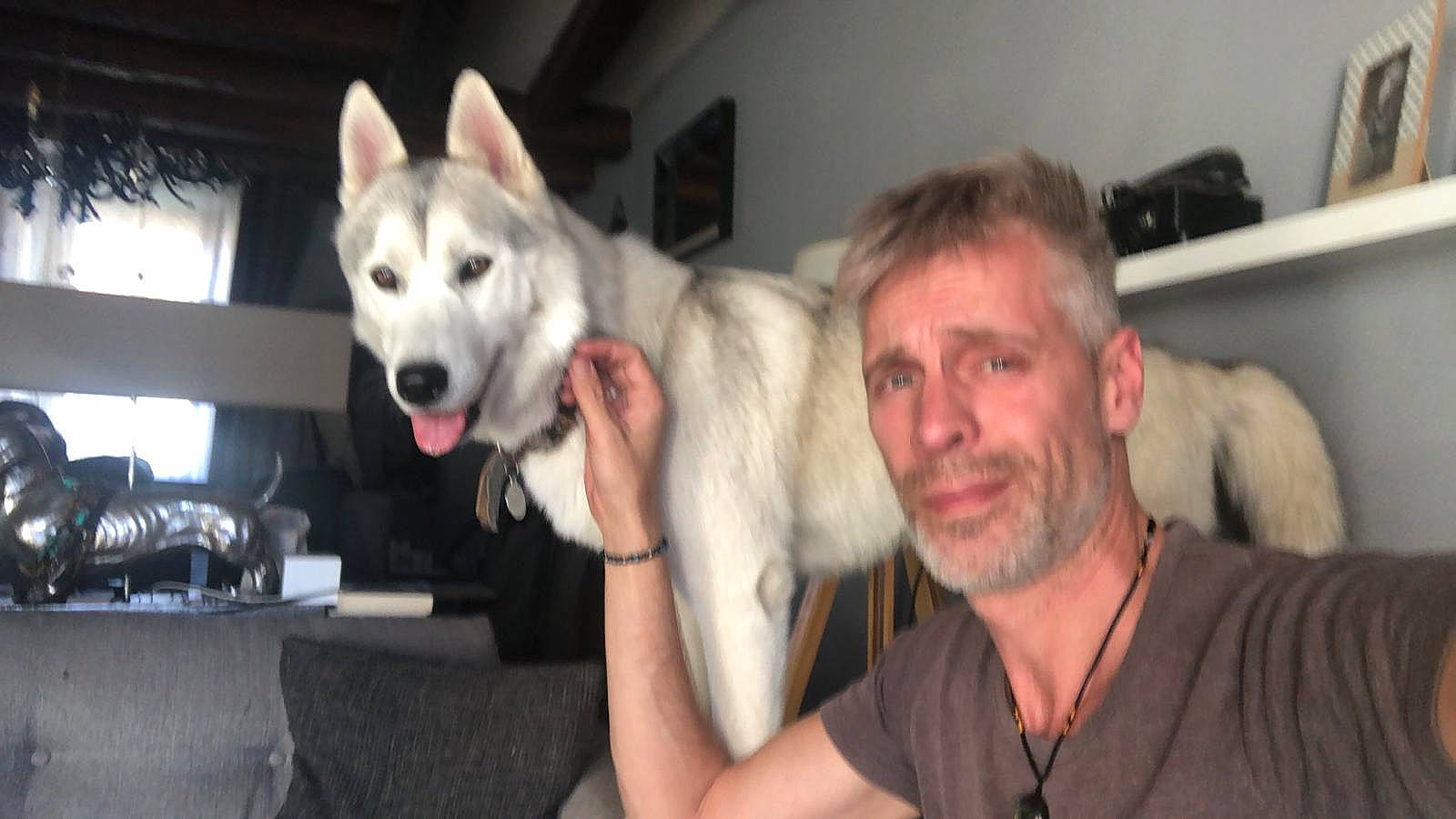 Pilou a rejoint le concours — aidez-le/la à gagner de superbes lots ! ancient_dog_breeds, animal_training, beard, canis, carnivore, collar, companion_dog, dog, dog_breed, fawn, fur, non_sporting_group, pungsan_dog, sled_dog, snout, sporting_group, t_shirt, wolf, working_animal, working_dog