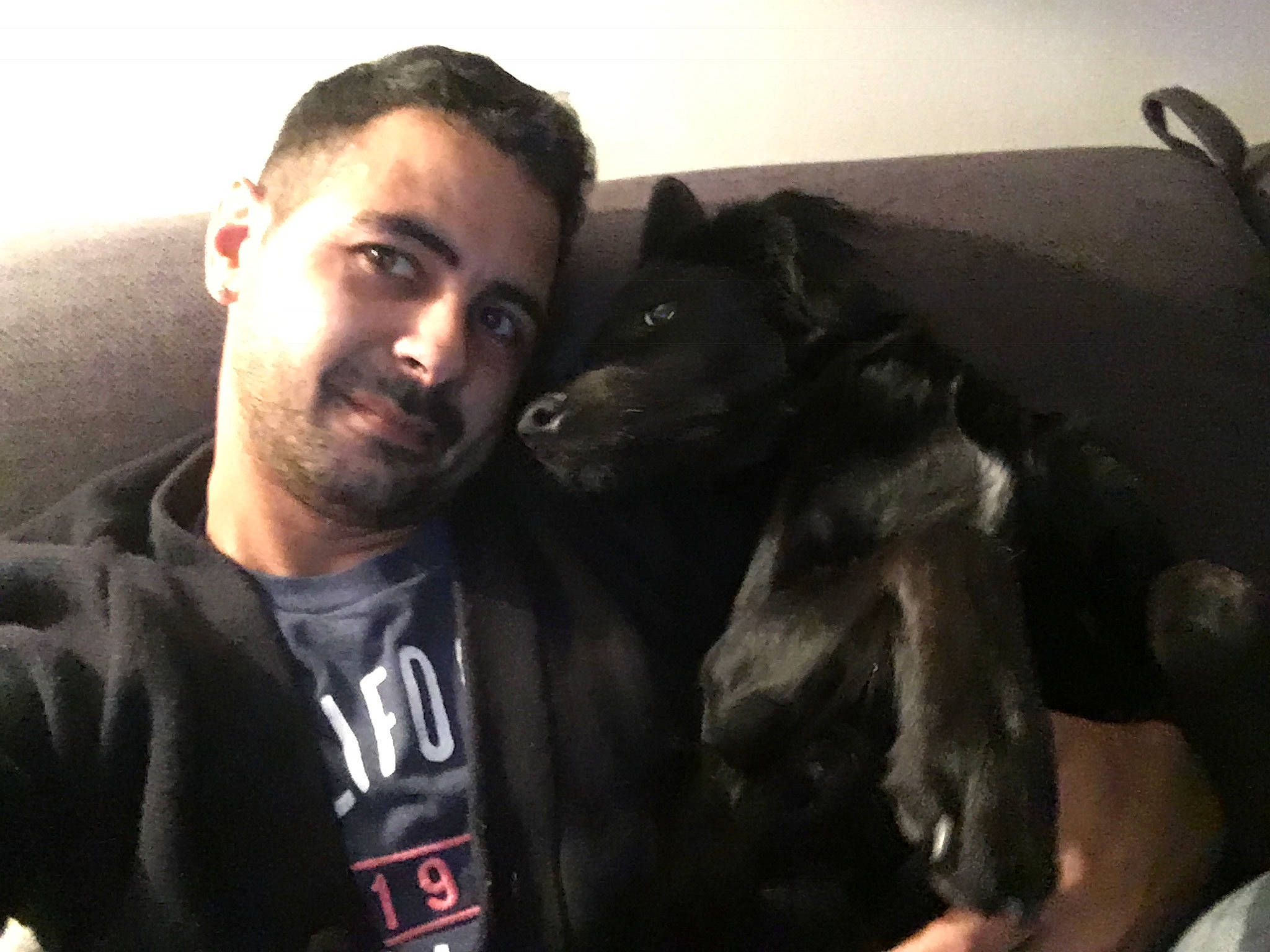 Laska participe au concours pour gagner de l'argent avec cette photo : audio_equipment, beard, carnivore, comfort, companion_dog, dog, dog_breed, ear, facial_hair, fawn, flash_photography, fun, fur, jaw, selfie, snout, t_shirt, weimaraner, whiskers, working_animal