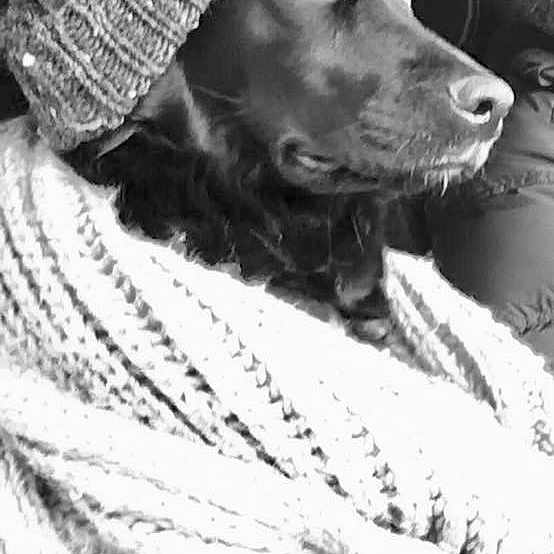 Laska