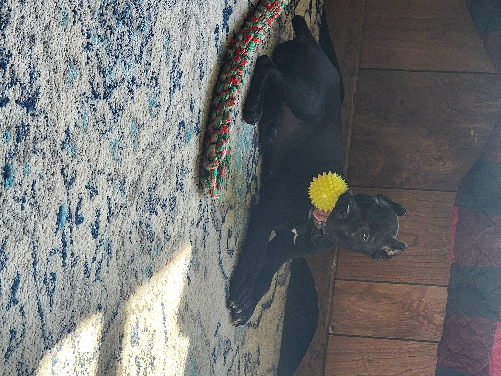 Rhetta joined the competition — help win amazing prizes! asphalt, automotive_tire, cement, concrete, flooring, fun, grey, landscape, pattern, pedestrian, road, road_surface, shadow, sidewalk, sitting, soil, street, tints_and_shades, visual_arts, wood