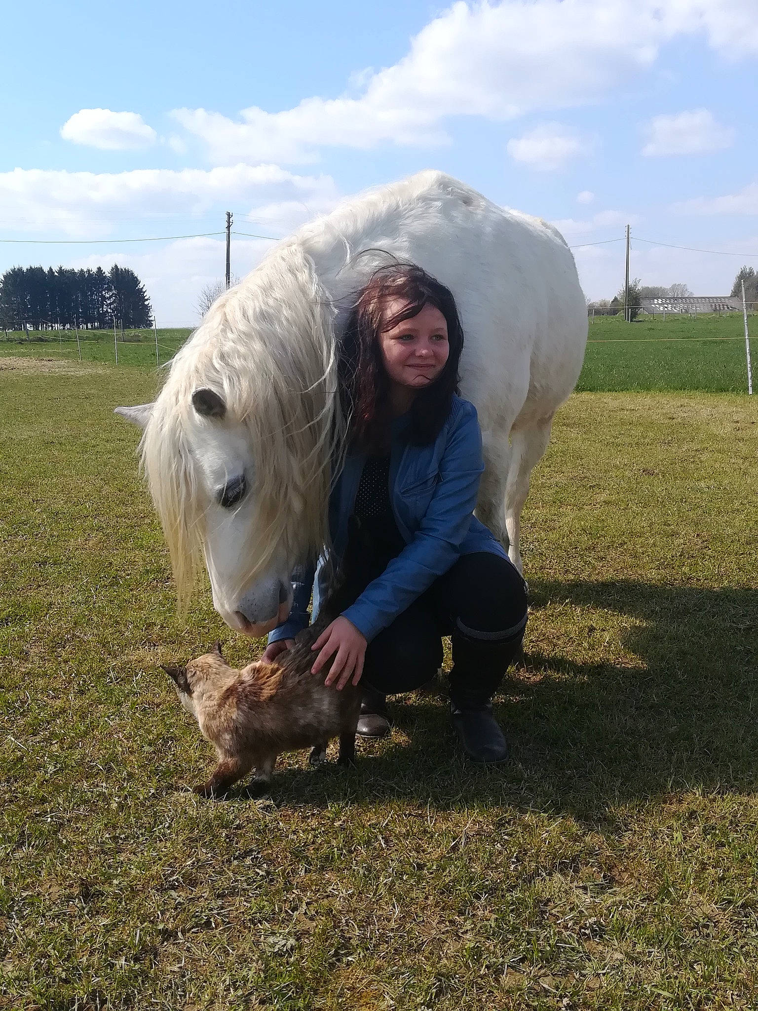 Kim a rejoint le concours — aidez-le/la à gagner de superbes lots ! cloud, companion_dog, dog_breed, fur, grass, grassland, joy, landscape, livestock, mare, pack_animal, pasture, people_in_nature, person, sky, smile, soil, stallion, steppe, terrestrial_animal