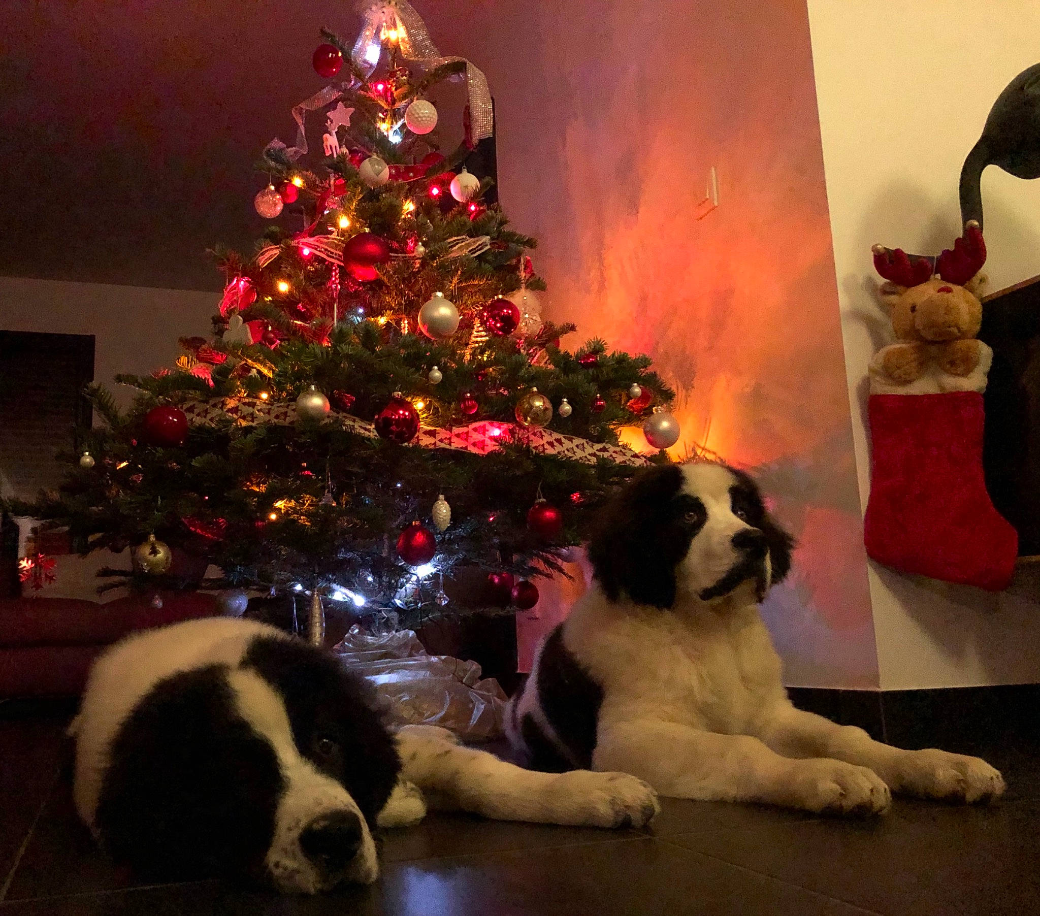 Pétrus Et Philibert