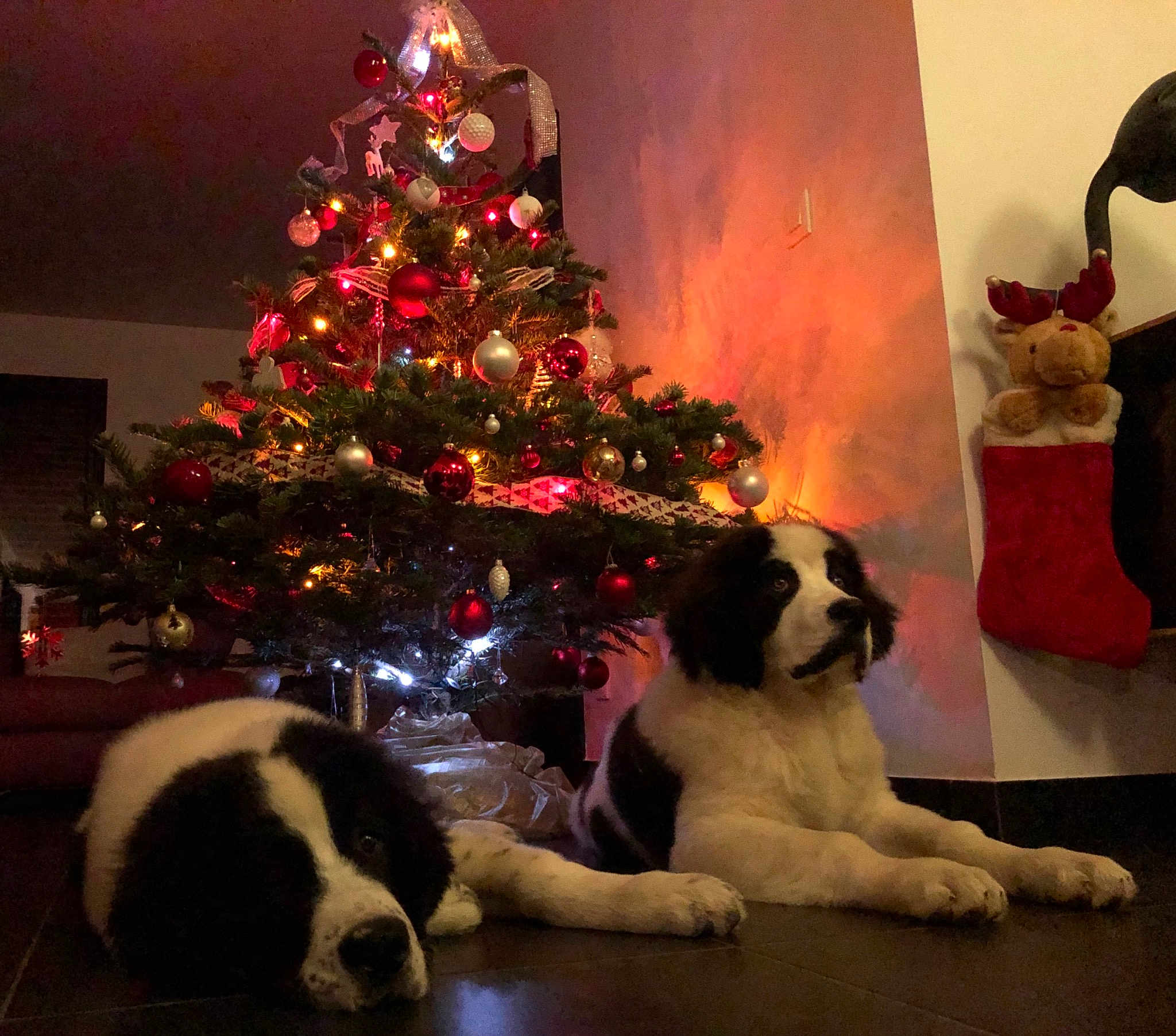 Pétrus Et Philibert