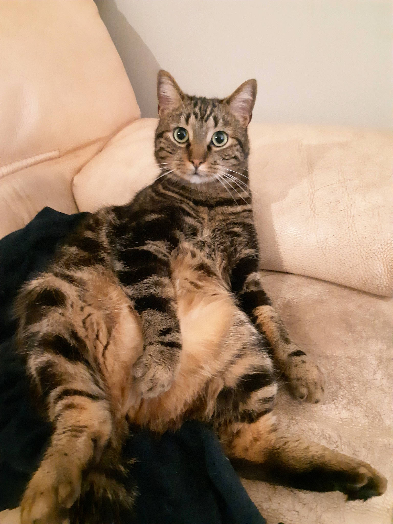 Olaf