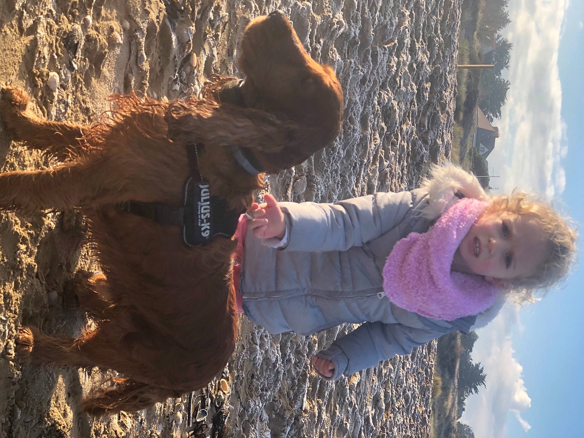 Victoire participe au concours pour gagner de l'argent avec cette photo : adaptation, arabian_camel, bactrian_camel, bovine, brown, camel, camelid, fawn, human, livestock, pack_animal, people_in_nature, person, winter, working_animal