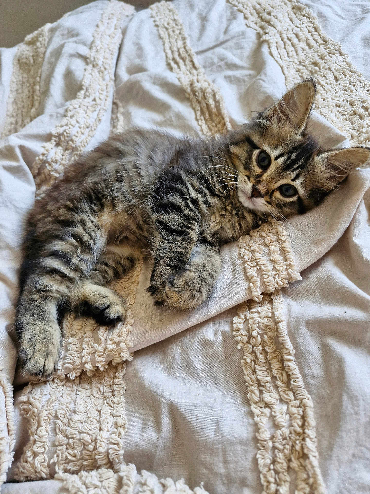 Kiki
