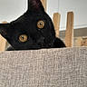 black_cat, cat, pet, animal, amber_eyes, curious, indoor, wooden_background, furniture, texture, close_up, whiskers, ears, face, looking, cute, domestic_animal, soft_light, resting, cozy