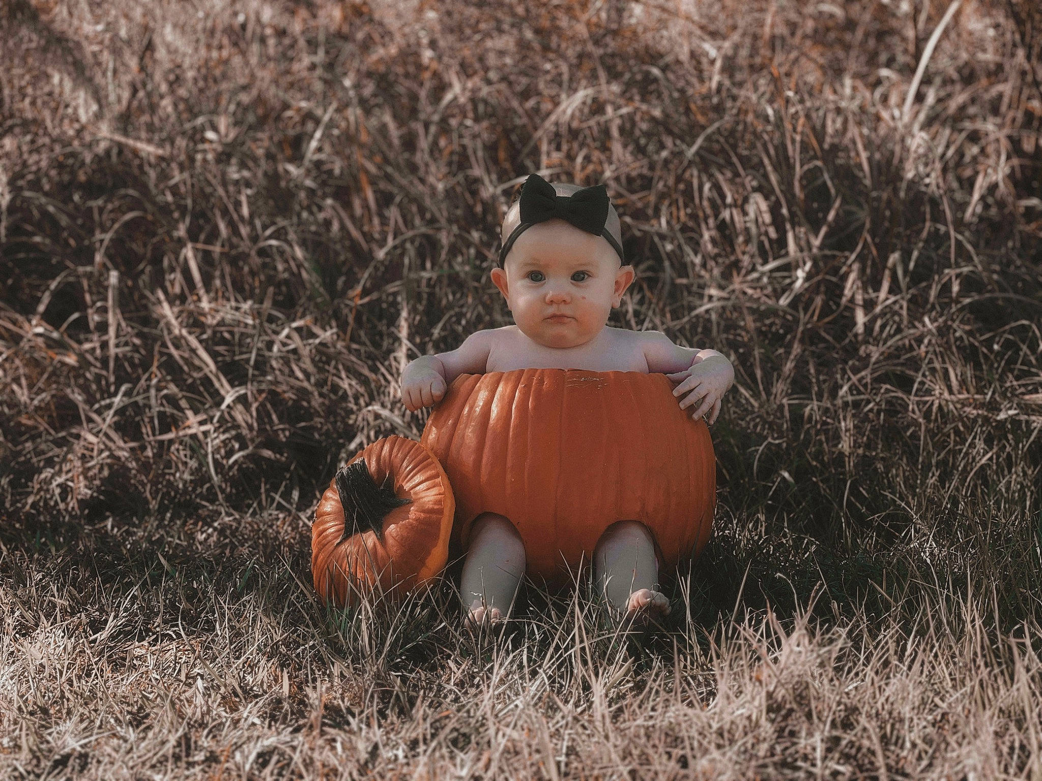 Annalise is registered to the contest to win money with this photo: art, baby, baby_toddler_clothing, doll, eye, fawn, fur, grass, grass_family, grassland, happy, head, headgear, headwear, human_body, people_in_nature, person, prairie, toddler, toy