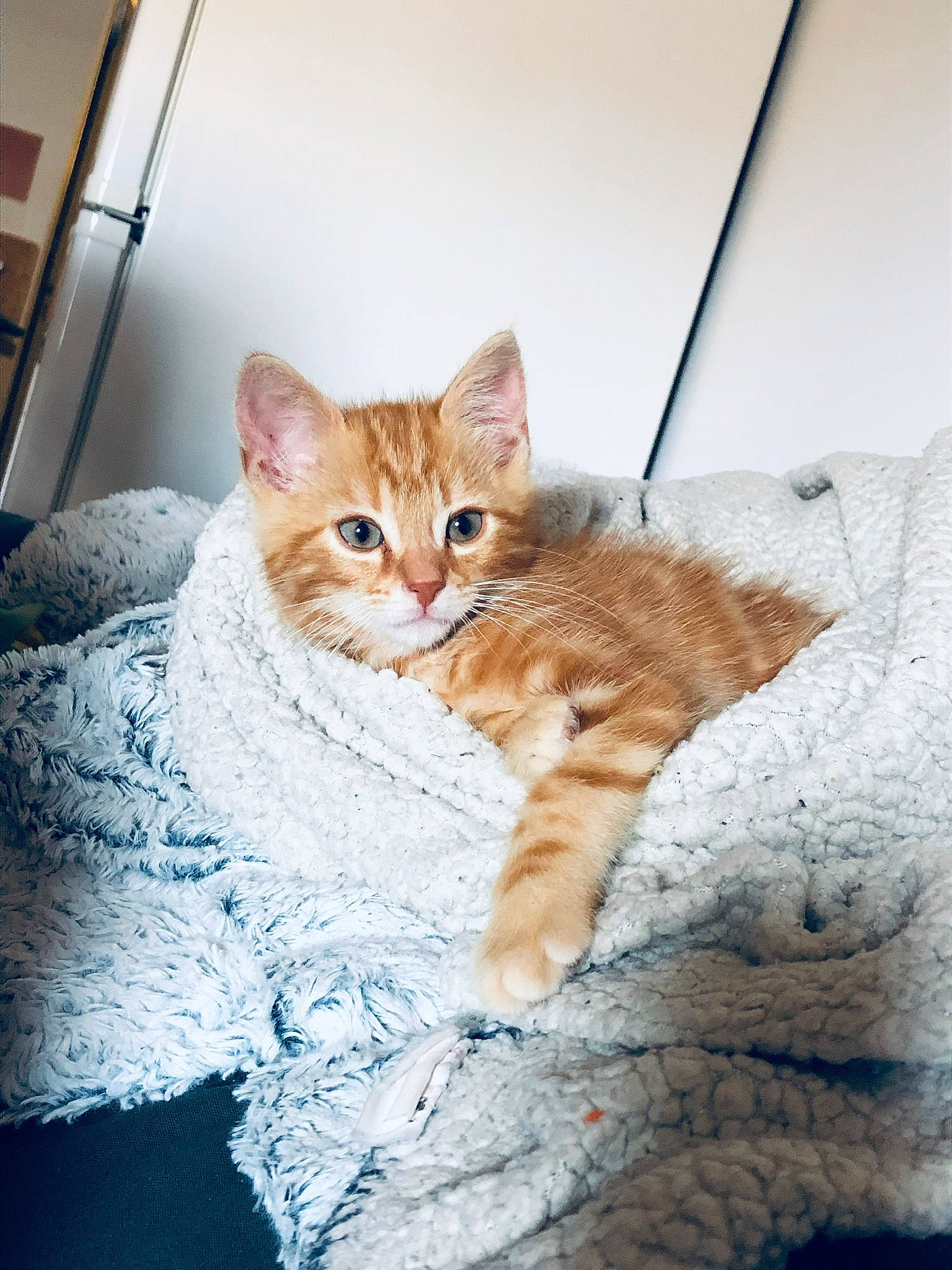 Simba
