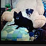 dog, small_dog, black_dog, white_dog, stuffed_animal, teddy_bear, blanket, couch, indoor, plush_toy, green_toy, pet, animal, furniture, resting, cozy, living_room, soft_toy, patchwork, companion