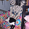 cat, black_and_white_cat, sleeping, lounging, skeleton, skeletons, halloween, colorful_chair, floral_pattern, indoor, bedroom, furniture, blanket, pink_pillow, chair, bones, wall_art, portrait_orientation, humorous_scene, pets