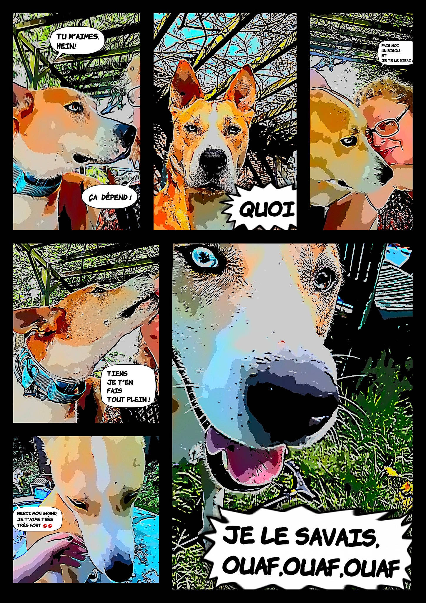 Milko participe au concours pour gagner de l'argent avec cette photo : art, canidae, carnivore, collage, companion_dog, dog, dog_breed, facial_expression, fawn, font, fur, green, illustration, line, organism, photo_caption, poster, rectangle, snout, sporting_group