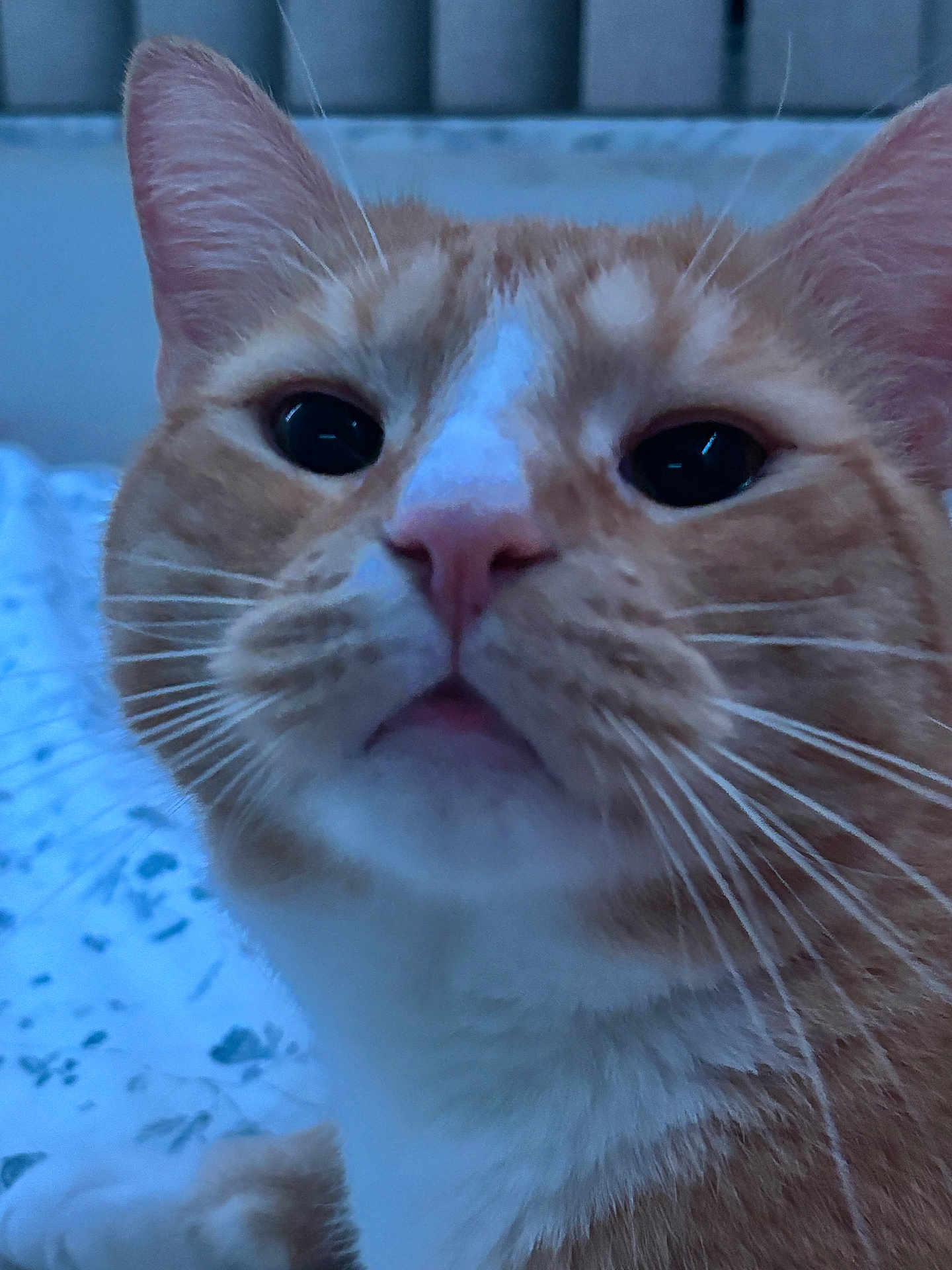 Charlie