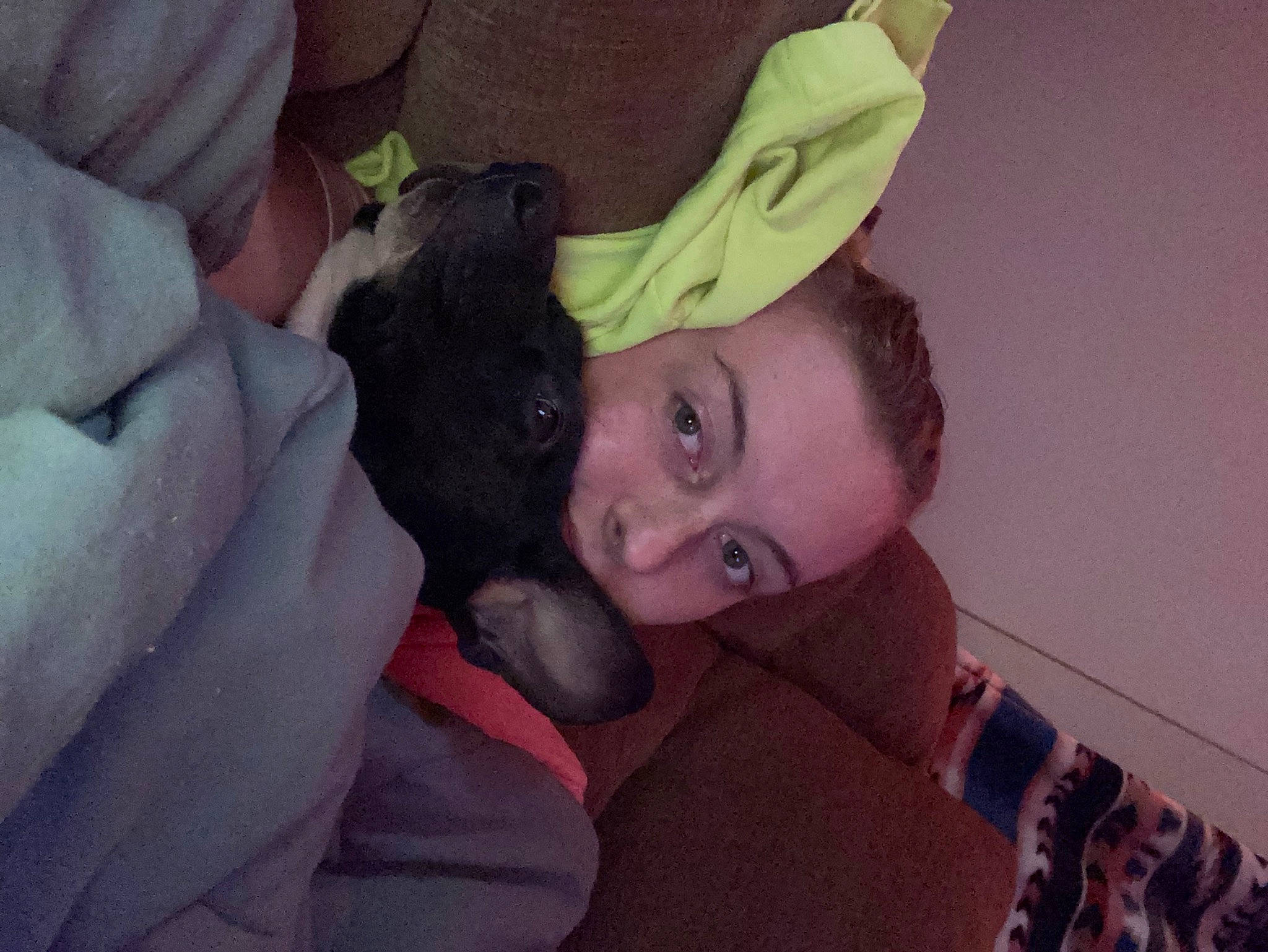 Susie Mae is registered to the contest to win money with this photo: carnivore, comfort, companion_dog, couch, dog, dog_breed, ear, eyelash, fawn, fur, gesture, guard_dog, happy, jaw, magenta, schipperke, selfie, sitting, toy_dog, whiskers