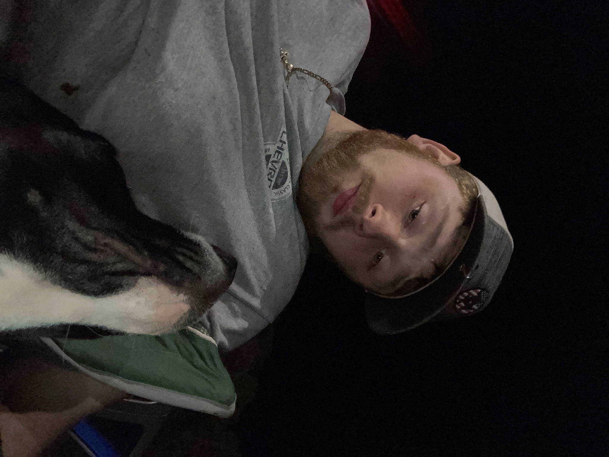 Susie Mae is registered to the contest to win money with this photo: carnivore, comfort, companion_dog, dog_breed, ear, elbow, flash_photography, fur, grey, guard_dog, non_sporting_group, whiskers, working_animal