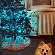Rio a rejoint le concours — aidez-le/la à gagner de superbes lots ! dog, christmas_tree, indoor, holiday, lights, decorations, ornaments, floor, window, radiator, fur, white_dog, sitting, cozy, festive, tree_skirt, glowing, night, home, quiet