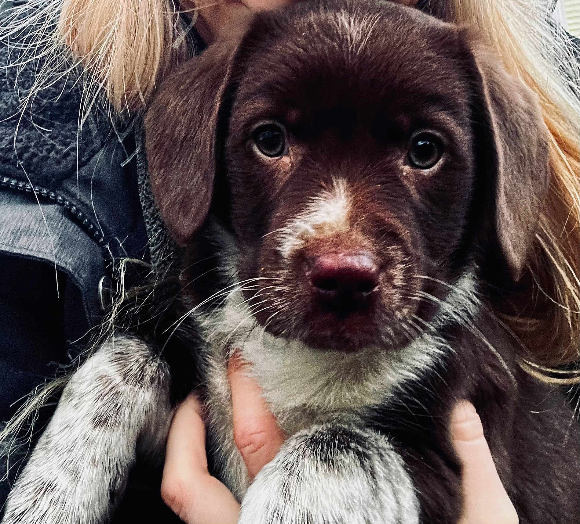 Tilly