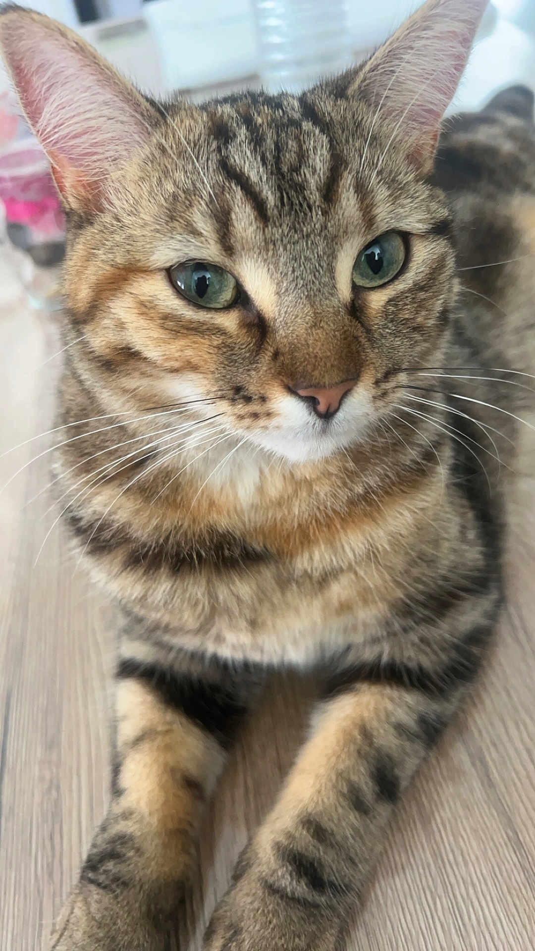 Nala