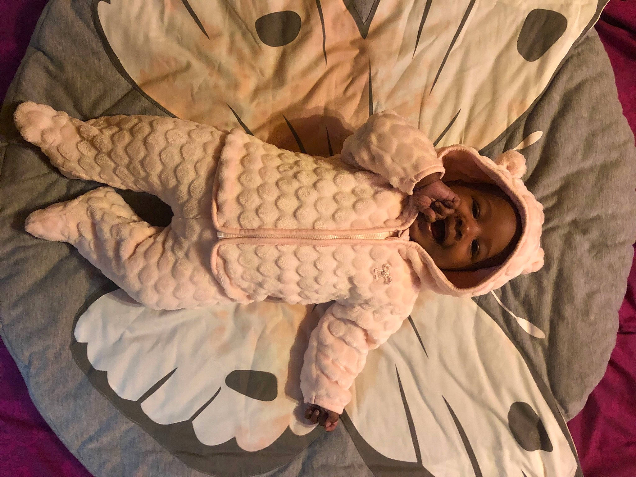 Khalycia participe au concours pour gagner de l'argent avec cette photo : beige, claw, finger, flesh, fur, gesture, glove, hand, headwear, person, skin, wrinkle