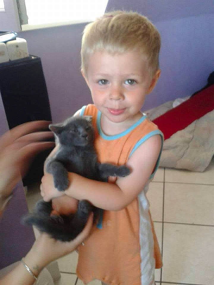 Grégory a rejoint le concours — aidez-le/la à gagner de superbes lots ! abdomen, arm, cat, companion_dog, eye, fawn, felidae, finger, hairstyle, hand, iris, joint, neck, person, skin, small_to_medium_sized_cats, smile, thumb, toddler, toy