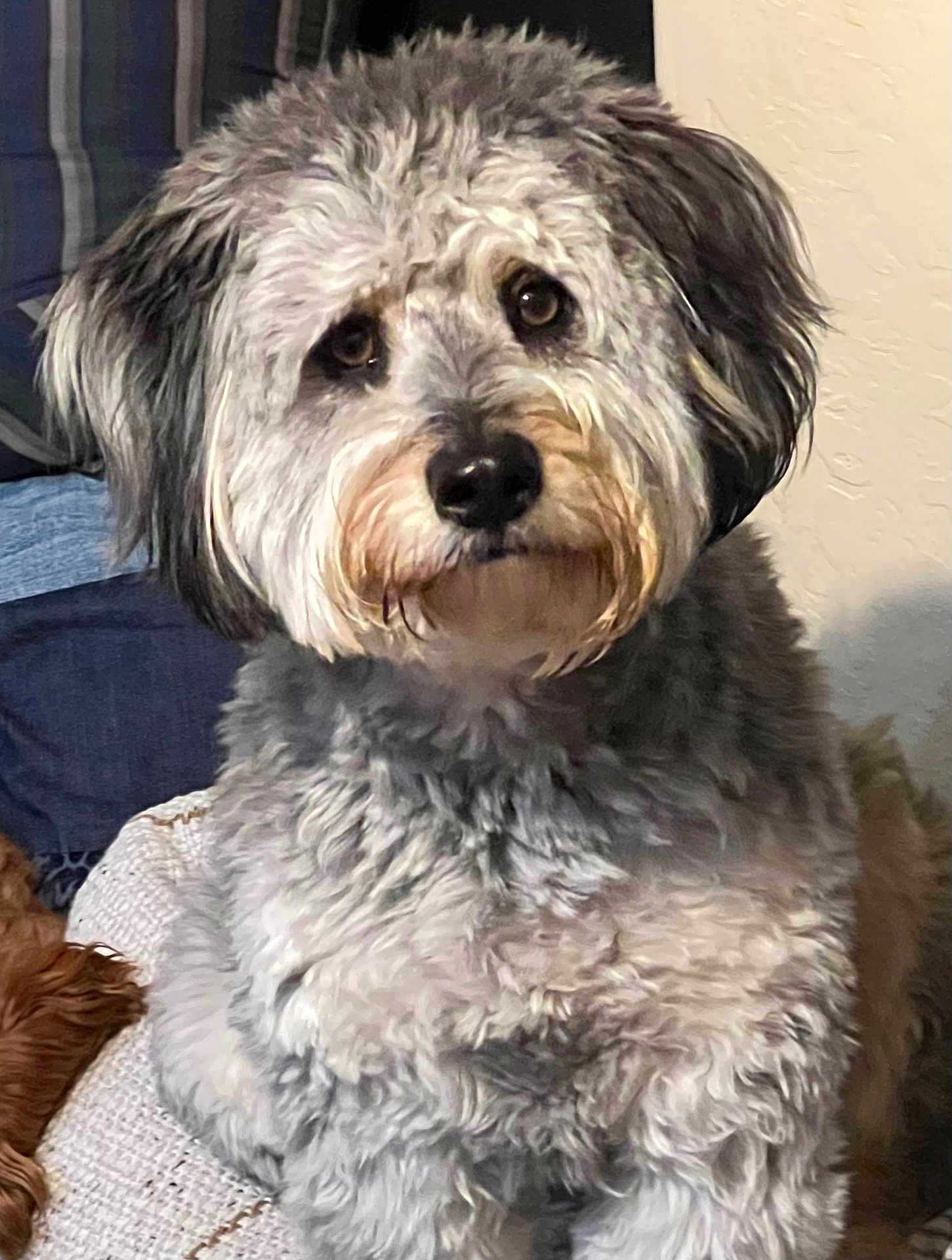 Jax