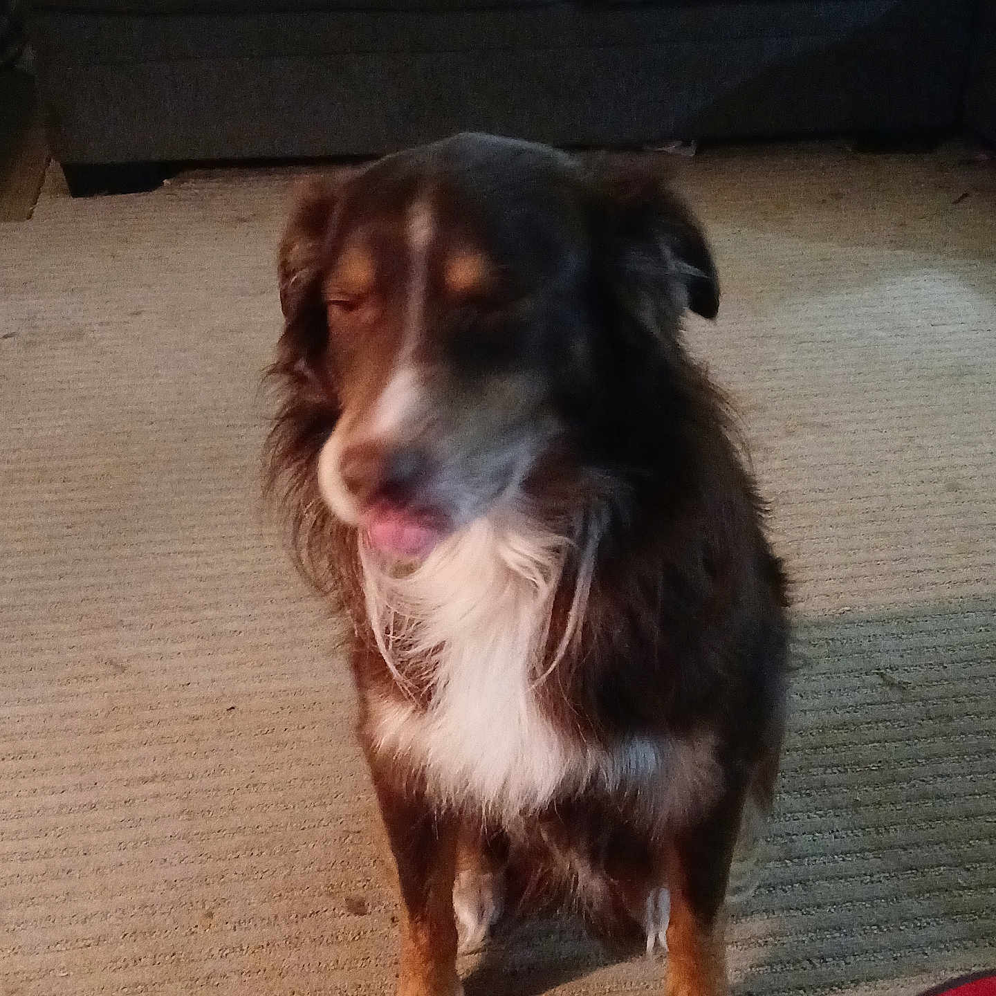 Max