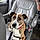 Buddy