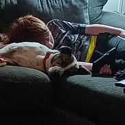 Buddy joined the competition — help win amazing prizes! dog, person, couch, indoor, resting, sleeping, red_collar, hair, casual_clothing, furniture, relaxation, companion, animal, pet, home, cozy, living_room, blanket, comfort, friendship