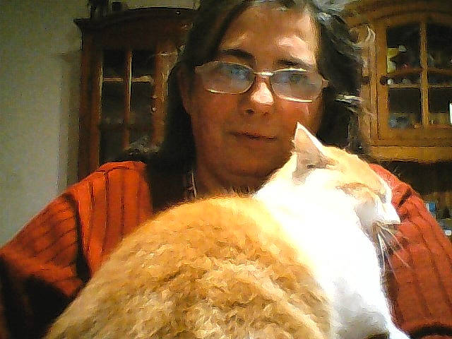 Marlou Le ChaT participe au concours pour gagner de l'argent avec cette photo : cat, cat_like_mammal, ear, fur, glasses, kitten, person, small_to_medium_sized_cats, snout, vision_care, whiskers